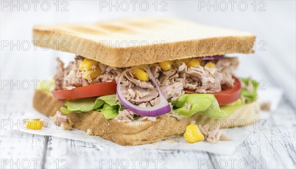 Fresh made Tuna Sandwiches (detailed close-up shot, selective focus)