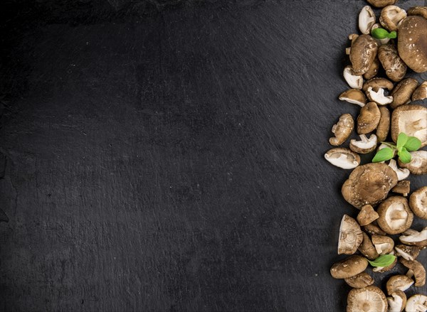 Portion of Raw Shiitake mushrooms on a rustic slate slab, selective focus, close-up shot