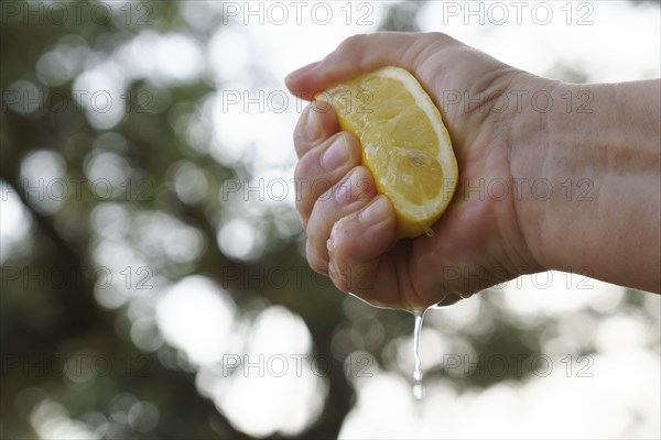 Woman squeezes a lemon with her hands the juice falls into a glass bowl, in the background is a