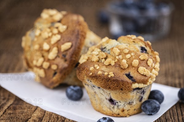 Some fresh Blueberry Muffins (selective focus, close-up shot)