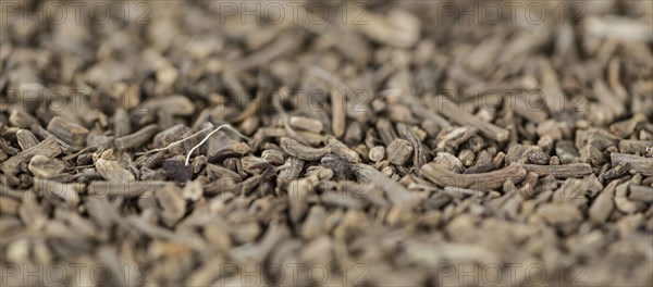 Dried Valerian roots as background image or as texture (close-up shot)