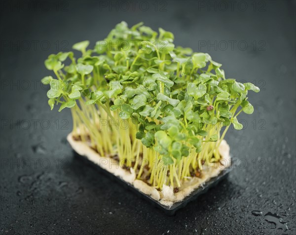 Some fresh Cress on a vintage slate slab (selective focus, close-up shot)