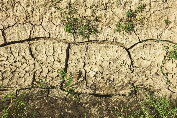Closeup of dried crack mud representing global warming and climate change