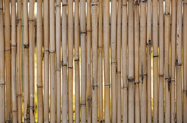 Close up of bamboo fence background at beach