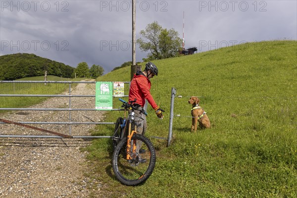Mountain biker and traildog pass Tor tor at cattle gate, summer pasture, Frohburg, Trimbach,