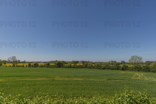 Lindelse, Ringkobing, South Funen, Langeland Island, agriculture, grain field, wing protection,
