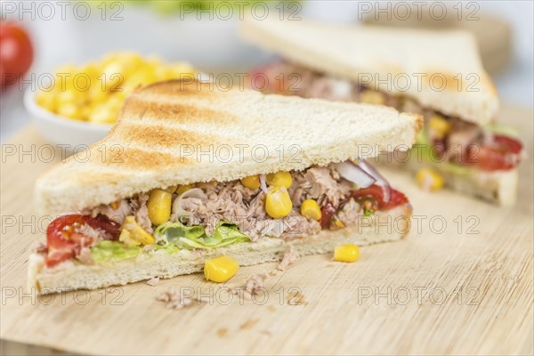 Fresh made Tuna Sandwiches (detailed close-up shot, selective focus)