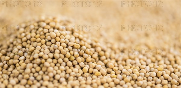 Mustard Seeds on a vintage background as detailed close-up shot (selective focus)