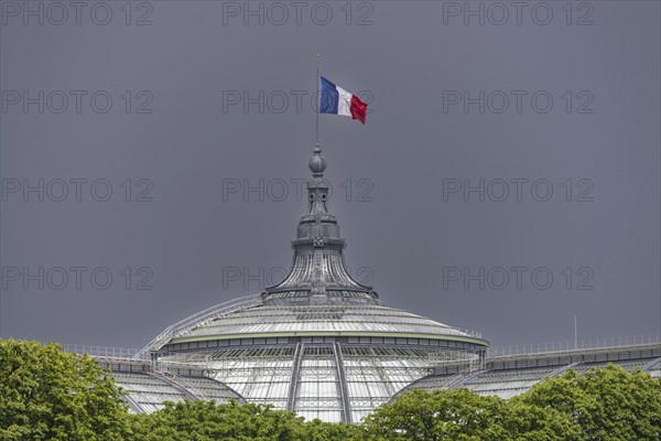 The French national flag, tricolour, on the Grand Palais, Paris, ÃŽle-de-France, France, Europe