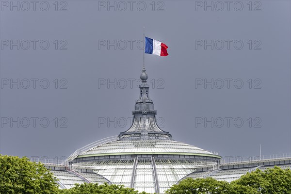 The French national flag, tricolour, on the Grand Palais, Paris, ÃŽle-de-France, France, Europe