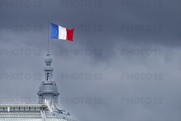 The French national flag, tricolour, on the Grand Palais, Paris, ÃŽle-de-France, France, Europe