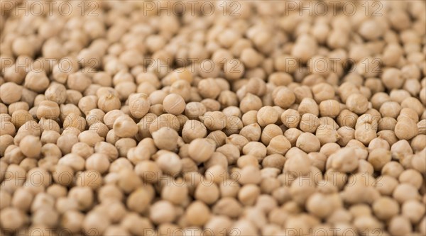 Portion of fresh Chickpeas close-up shot, selective focus