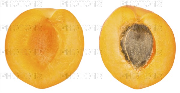 Apricots isolated on white background (selective focus, close-up shot)