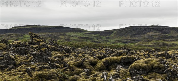Lava Fields near Grabrok Crater in the western region of Iceland