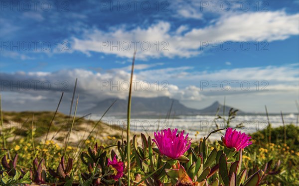 Cape Town view from Bloubergstrand during sunset, South Africa, Africa