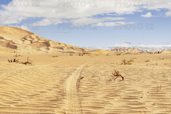 Offroad Jeep safari in the beautiful Omani Rub al-Chali Desert