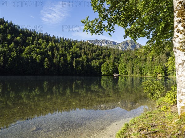 Morning atmosphere, reflection, Toplitzsee, Salzkammergut, Styria, Austria, Europe