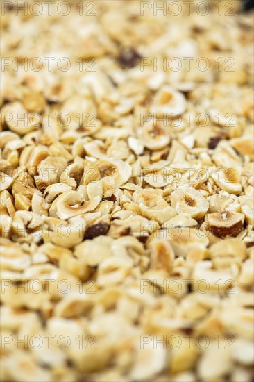 Freshly chopped Hazelnuts for use as background image or as texture