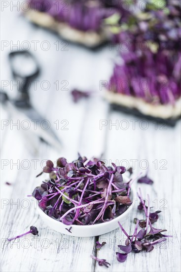 Portion of fresh Cutted Cress (close-up shot, selective focus)
