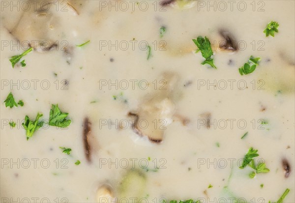 Homemade Porcini Soup on vintage background selective focus, close-up shot