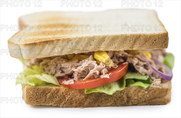 Fresh made Tuna Sandwich (isolated on white)