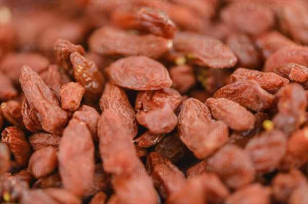 Goji Berries (dried) on an old wooden table as detailed close-up shot (selective focus)