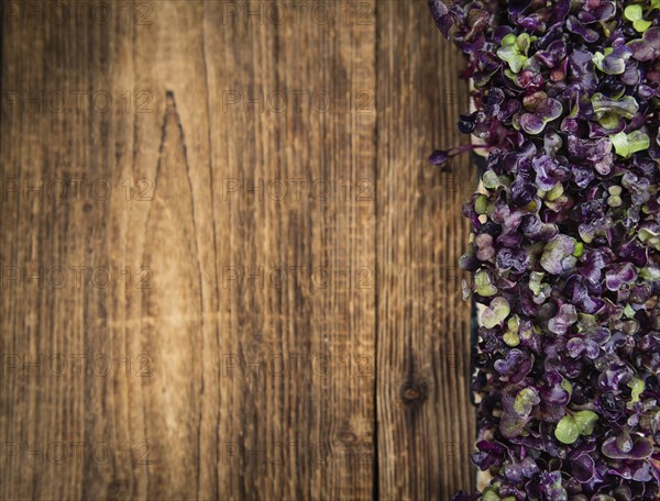 Portion of fresh Cress (close-up shot, selective focus)