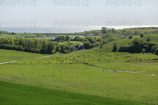 View from Hatbakken Fakkebjerg, Bagenkop, Langeland, Agriculture, Farms, Forest, County of Funen,