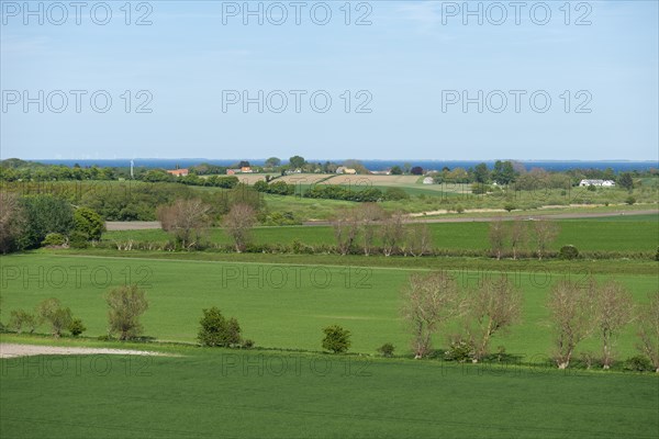 View from Hatbakken Fakkebjerg, Bagenkop, Langeland, Agriculture, Farms, County of Funen, Geopark