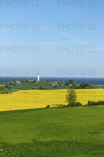 View from Hatbakken Fakkebjerg, Bagenkop, Kelsnor, Langeland, agriculture, rape cultivation,