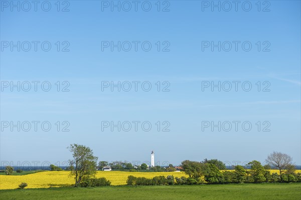 View from Hatbakken Fakkebjerg, Bagenkop, Kelsnor, Langeland, agriculture, rape cultivation,