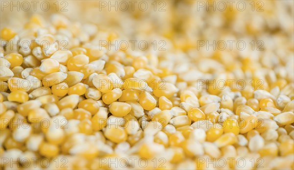 Corn for use as background or as image (close-up shot, selective focus)
