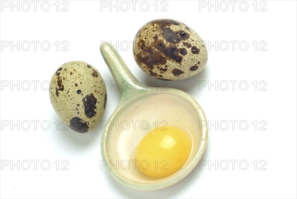 Food, quail eggs, cracked quail egg, Coturnix coturnix