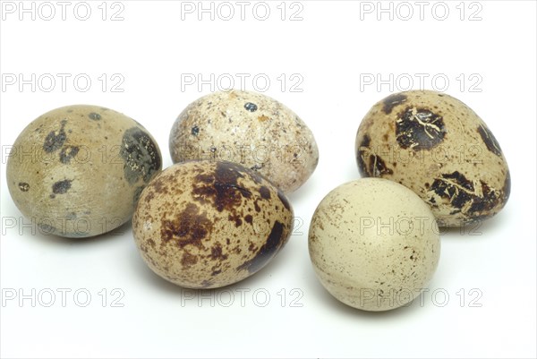 Food, quail eggs, cracked quail egg, Coturnix coturnix