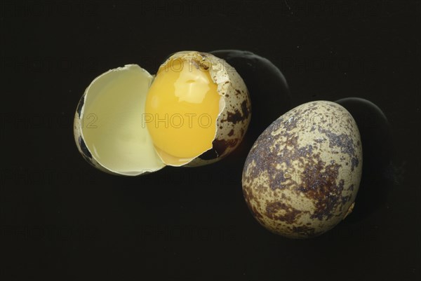 Food, quail eggs, cracked quail egg, Coturnix coturnix
