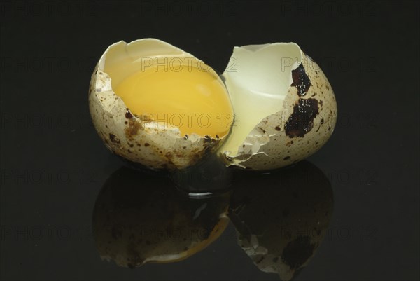 Food, quail eggs, cracked quail egg, Coturnix coturnix
