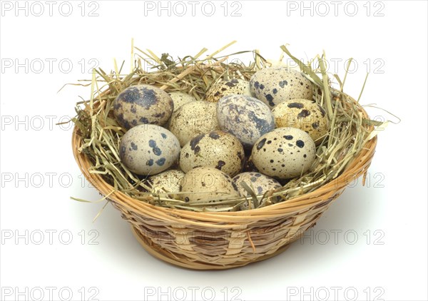 Food, quail eggs, cracked quail egg, Coturnix coturnix