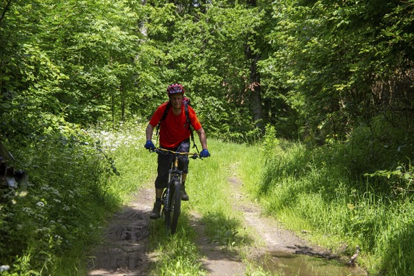 Mountain biking in the Odenwald, here on the Birkenau circuit in the Bergstrasse-Odenwald