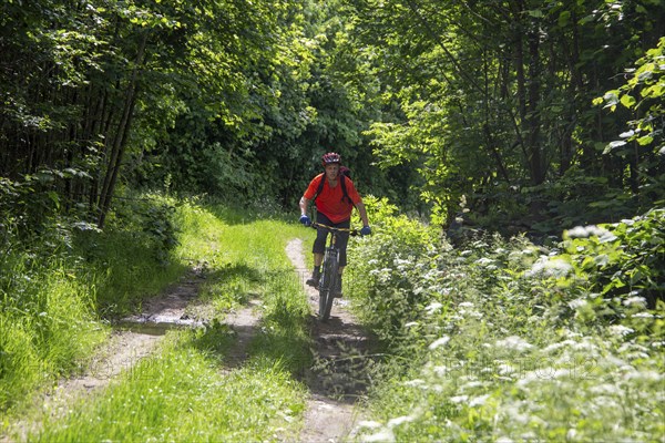 Mountain biking in the Odenwald, here on the Birkenau circuit in the Bergstrasse-Odenwald