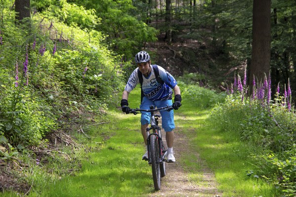 Mountain biking in the Odenwald, here on the Birkenau circuit in the Bergstrasse-Odenwald
