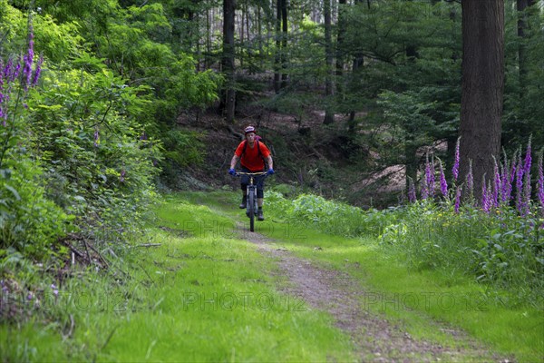 Mountain biking in the Odenwald, here on the Birkenau circuit in the Bergstrasse-Odenwald