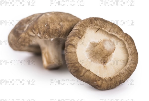 Portion of Shiitake mushrooms as detailed close-up shot isolated on white background