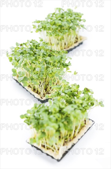 Portion of Cress (as close-up shot) isolated on white background