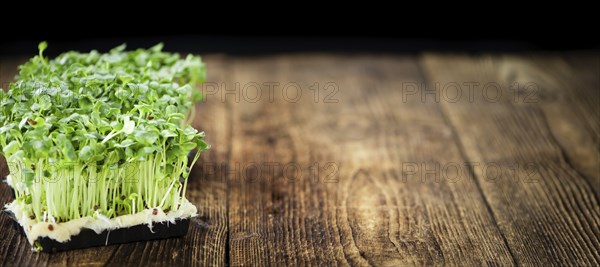 Cress on a vintage background as detailed close-up shot (selective focus)
