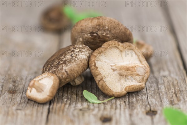 Shiitake mushrooms on a vintage background as detailed close-up shot, selective focus