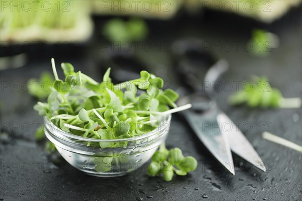 Portion of Cress as detailed close up shot on a slate slab (selective focus)