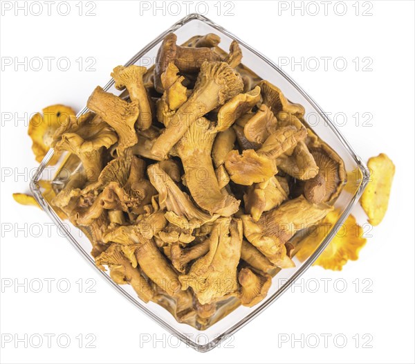 Preserved chanterelles isolated on white background, selective focus, close-up shot