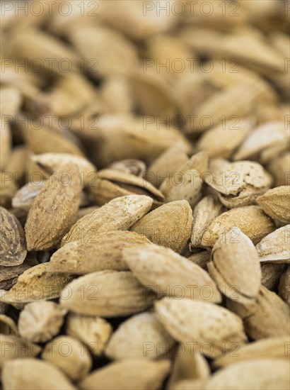 Roasted Almonds (in shell) as full size background image (selective focus)