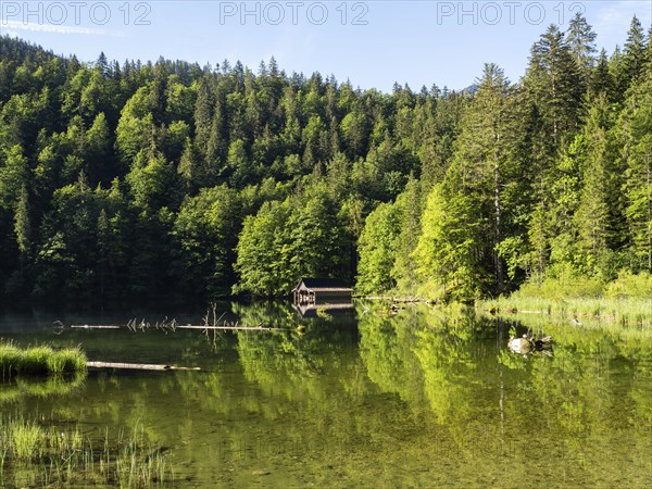 Morning atmosphere, reflection, boathouse at the Toplitzsee, Salzkammergut, Styria, Austria, Europe