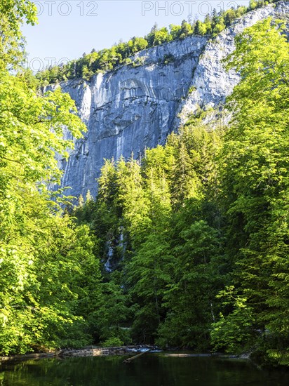 Morning atmosphere, Gössler Wand in the morning light, near Gössl, Salzkammergut, Styria, Austria,
